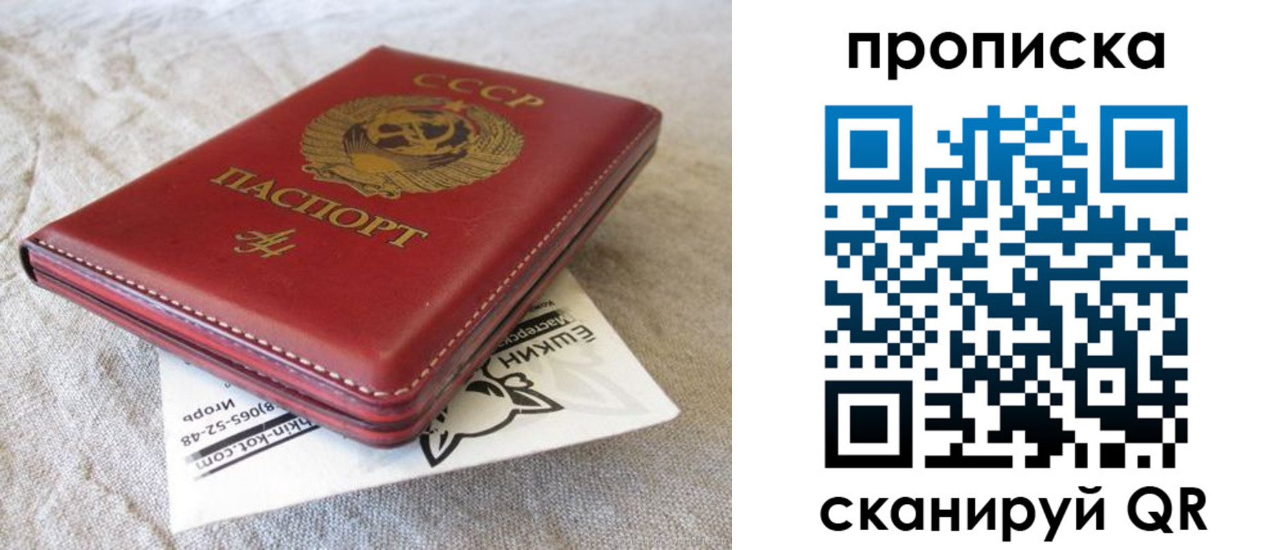 прописка для школы в Собинке